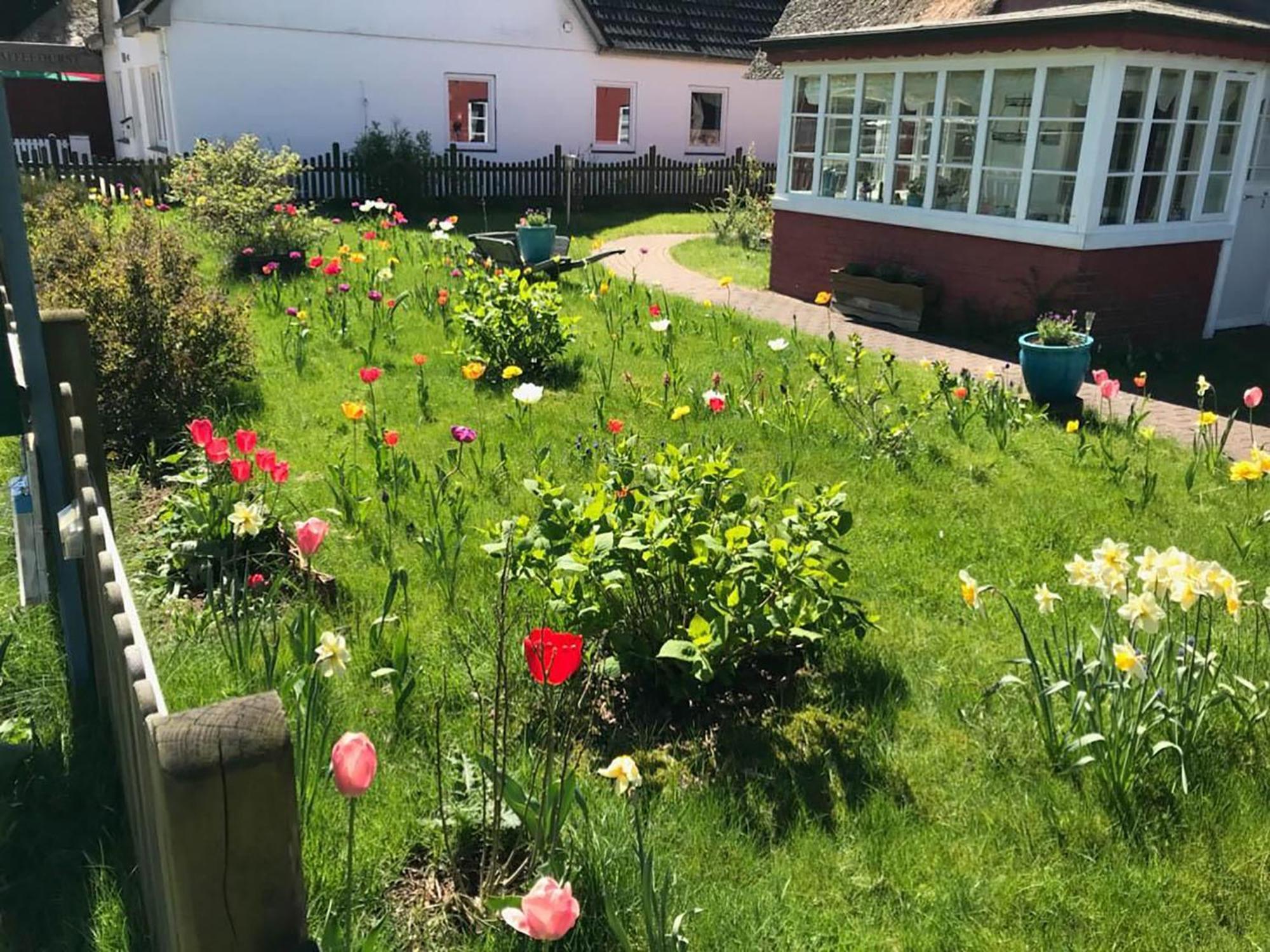 Hues Sanskiin Ferienwohnung *Aawerkant* Suddorf Buitenkant foto