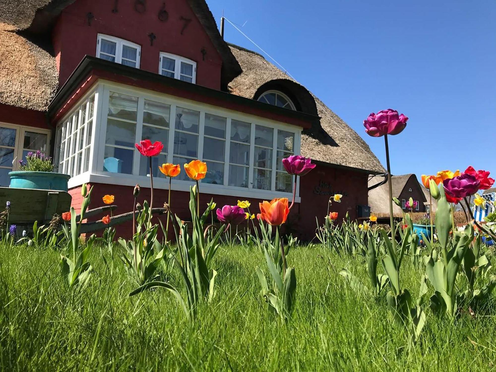 Hues Sanskiin Ferienwohnung *Aawerkant* Suddorf Buitenkant foto